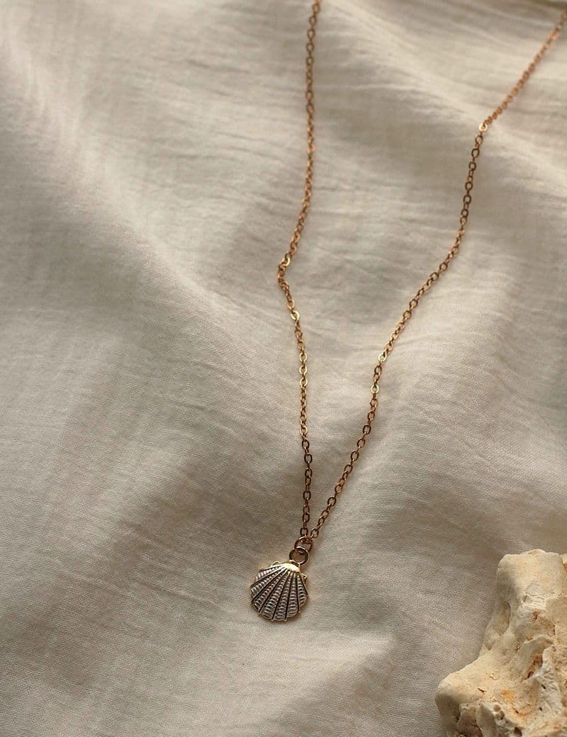 Солнечная ракушка